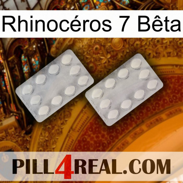 Rhinocéros 7 Bêta 17.jpg